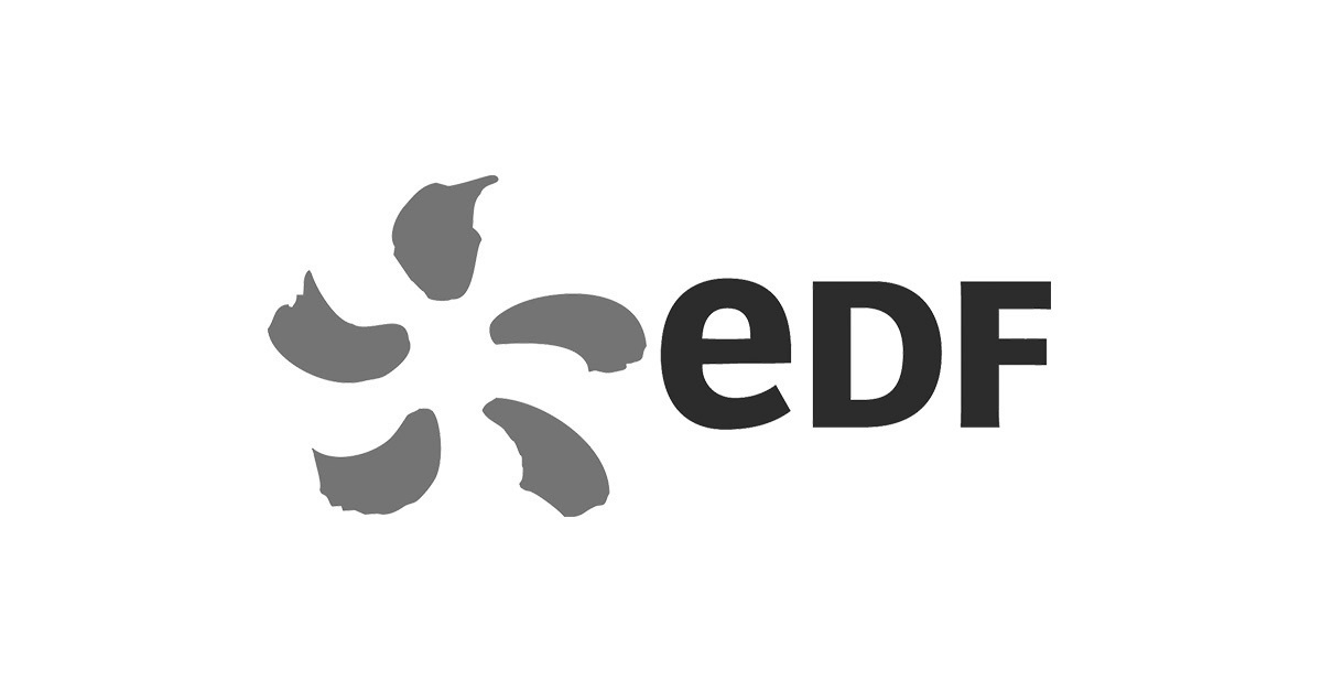 logo edf ConvertImage